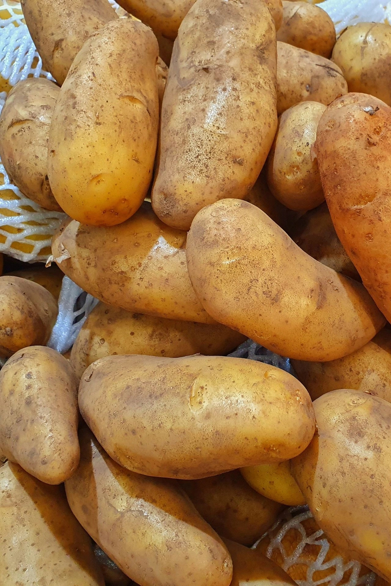 Alt à définir