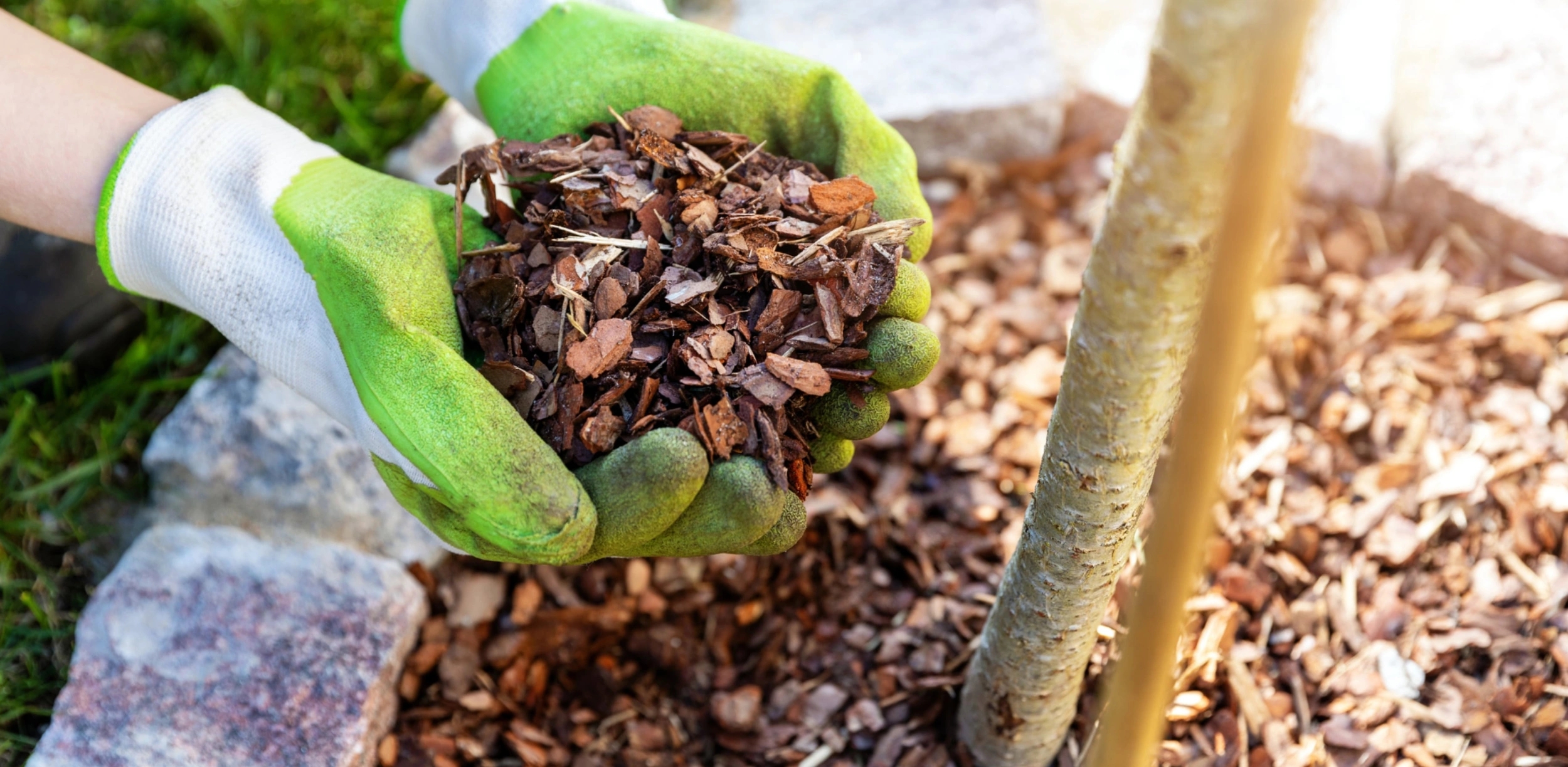 Traitement et terreau pour jardin à Porto-Vecchio