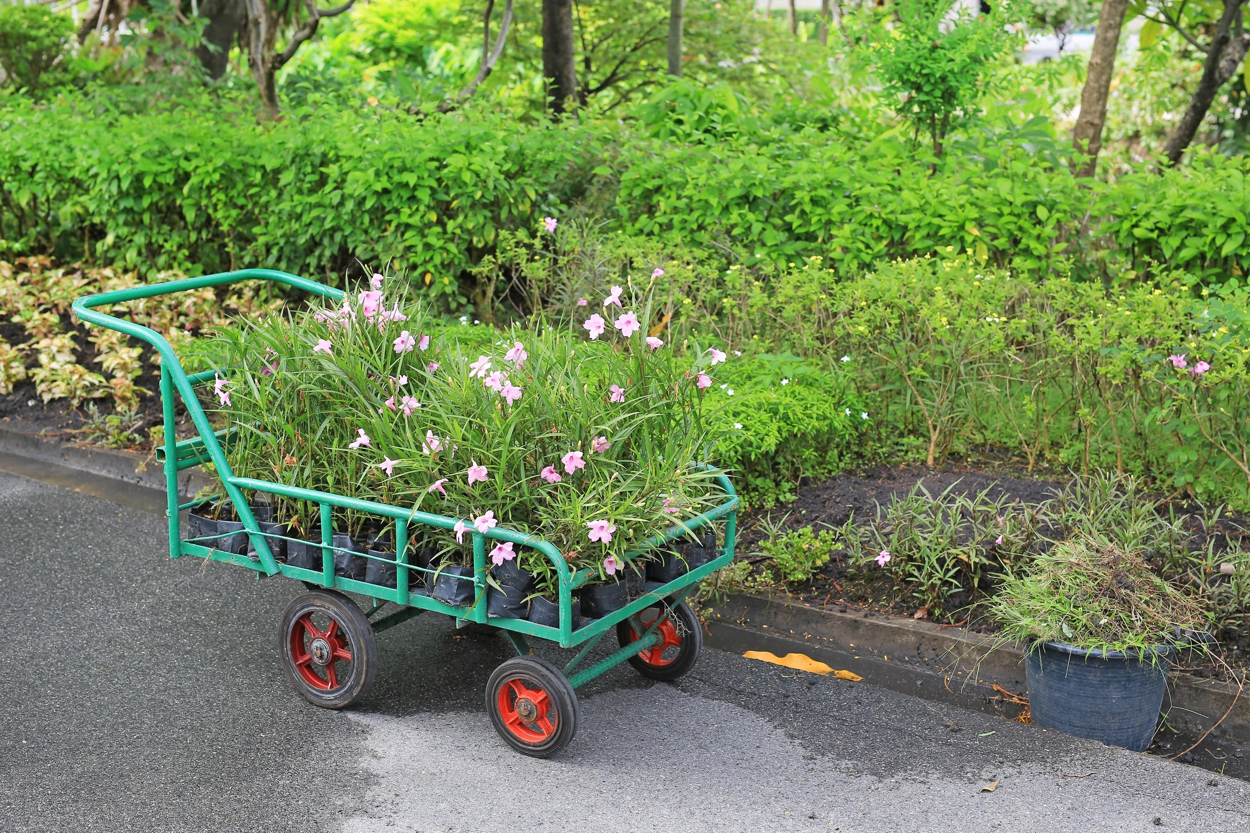 Vente d'outils de jardinage à Porto-Vecchio